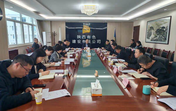 公司召開黨委理論學(xué)習(xí)中心組（擴(kuò)大）學(xué)習(xí)會(huì)傳達(dá)學(xué)習(xí)全國(guó)兩會(huì)精神